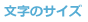 文字サイズ
